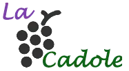 La Cadole de Chardonnay
