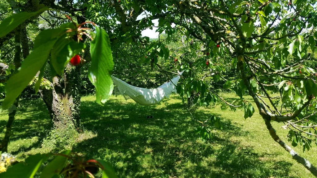 Sieste sur le hamac à l'ombre des cerisiers du jardin