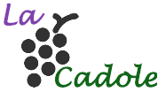 Logo de La Cadole de Chardonnay créé par Nathalie Chevalier, propriétaire du la maison d'hôtes