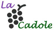 Logo de La Cadole de Chardonnay créé par Nathalie Chevalier, propriétaire du la maison d'hôtes