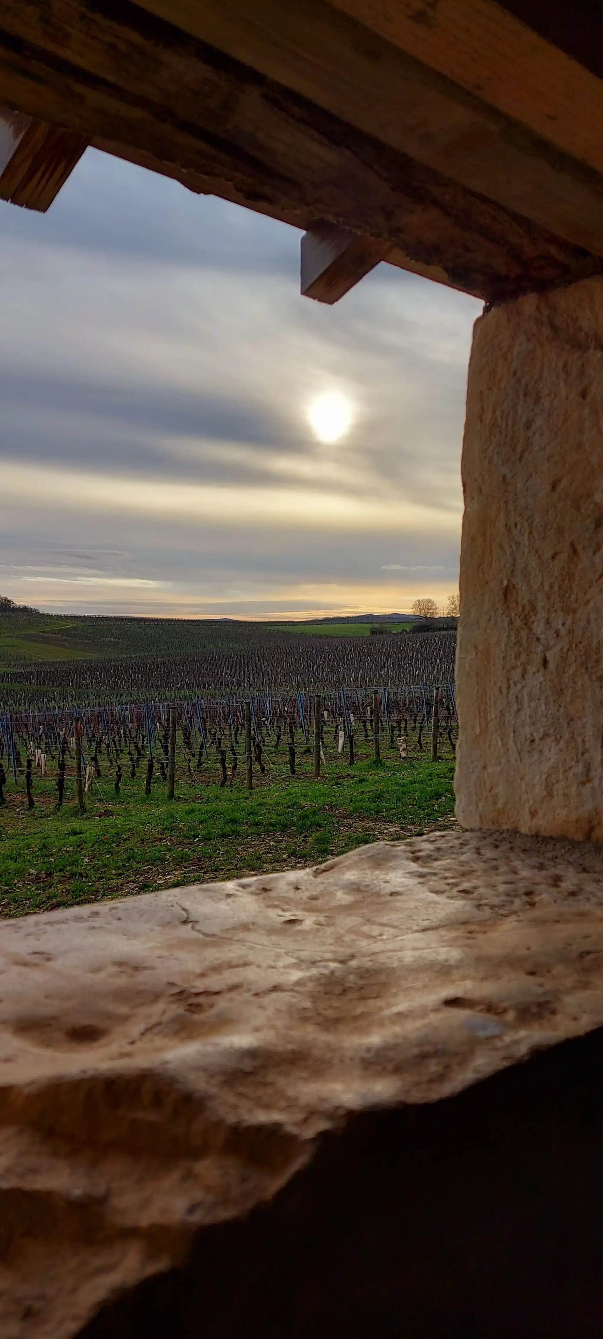 Les paysages viticoles sont magnifiques en toutes saison, vue depuis la fenêtre d'une cadole à Chardonnay