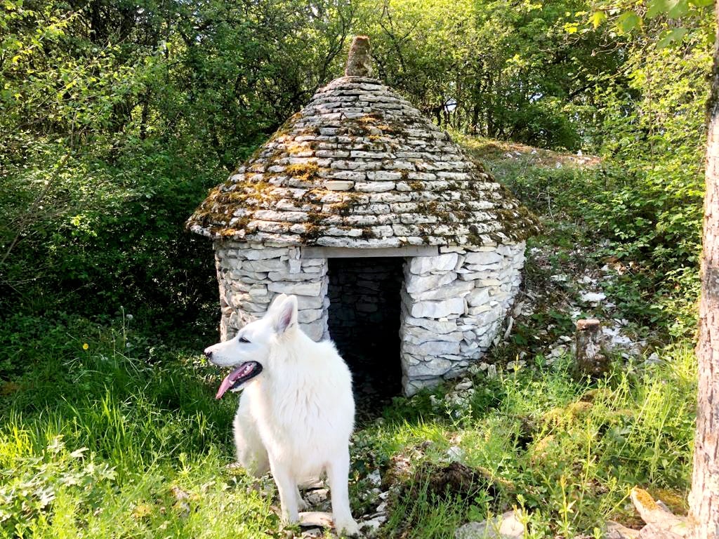 L'une des plus jolie cadoles que vous pourrez voir en balade. Chardonnay est idéal pour un séjour avec votre chien.