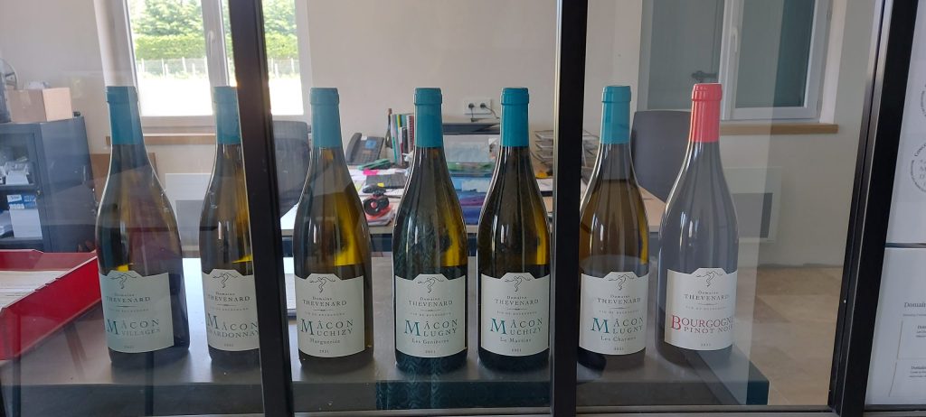 Dégustation au Domaine Thévenard à Uchizy. Bouteilles Vins Thévenard