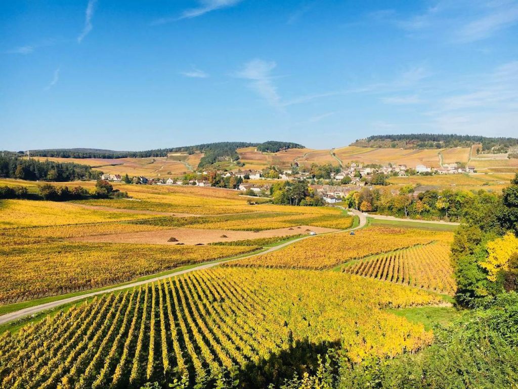 Vignoble Sud Bourgogne