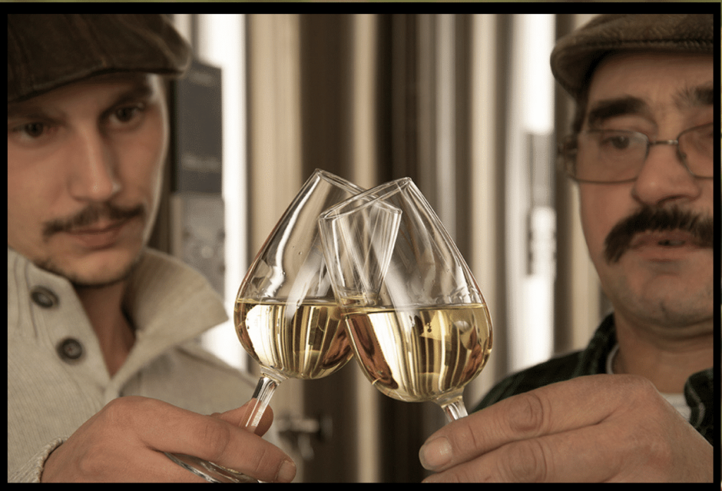 Nicolas et Patrick Laugère Domaine Les Cadoles de Chardonnay
