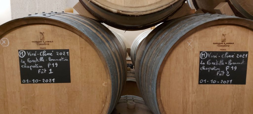 Fûts dans le caveau du Domaine Gondard-Perrin