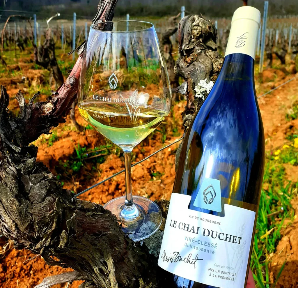 Bouteille dans les vignes Domaine Le Chai Duchet