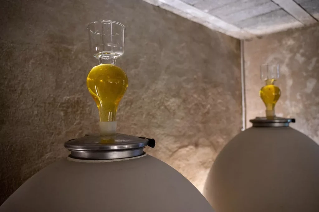 Cuves Oeufs Domaine La Verpaille à Clessé