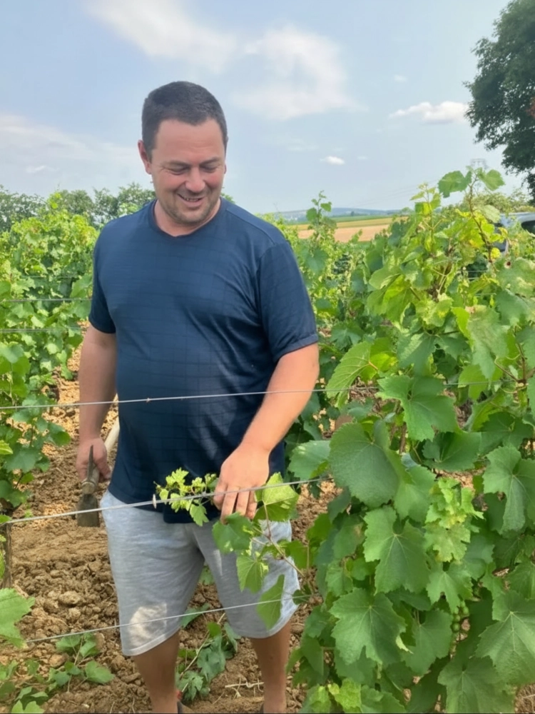 Alexis Duchet propriétaire vigneron du Chai Duchet à Viré dans ses vignes